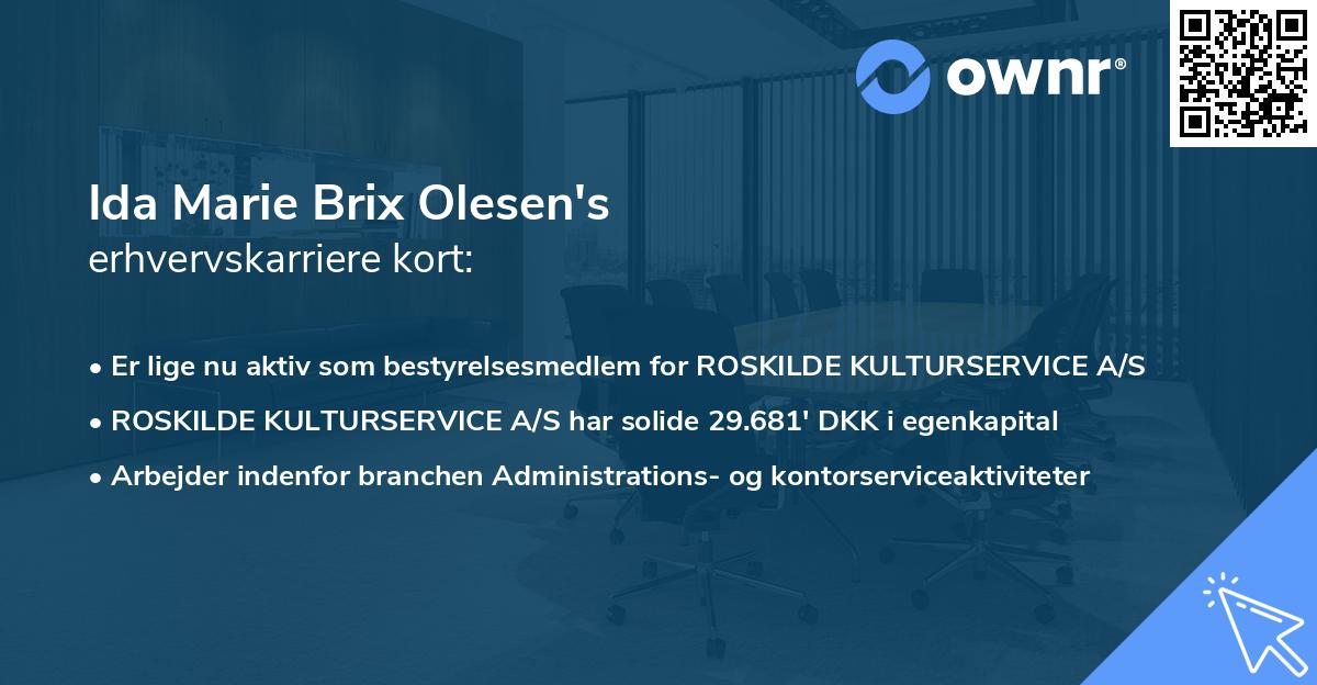 Ida Marie Brix Olesen's erhvervskarriere kort