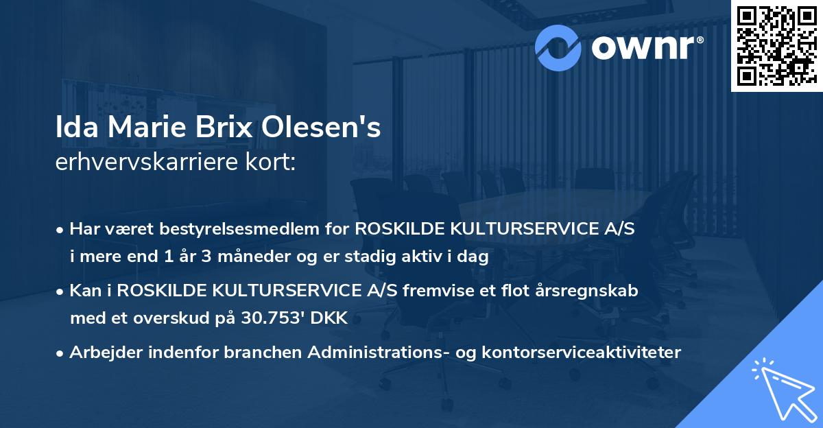 Ida Marie Brix Olesen's erhvervskarriere kort