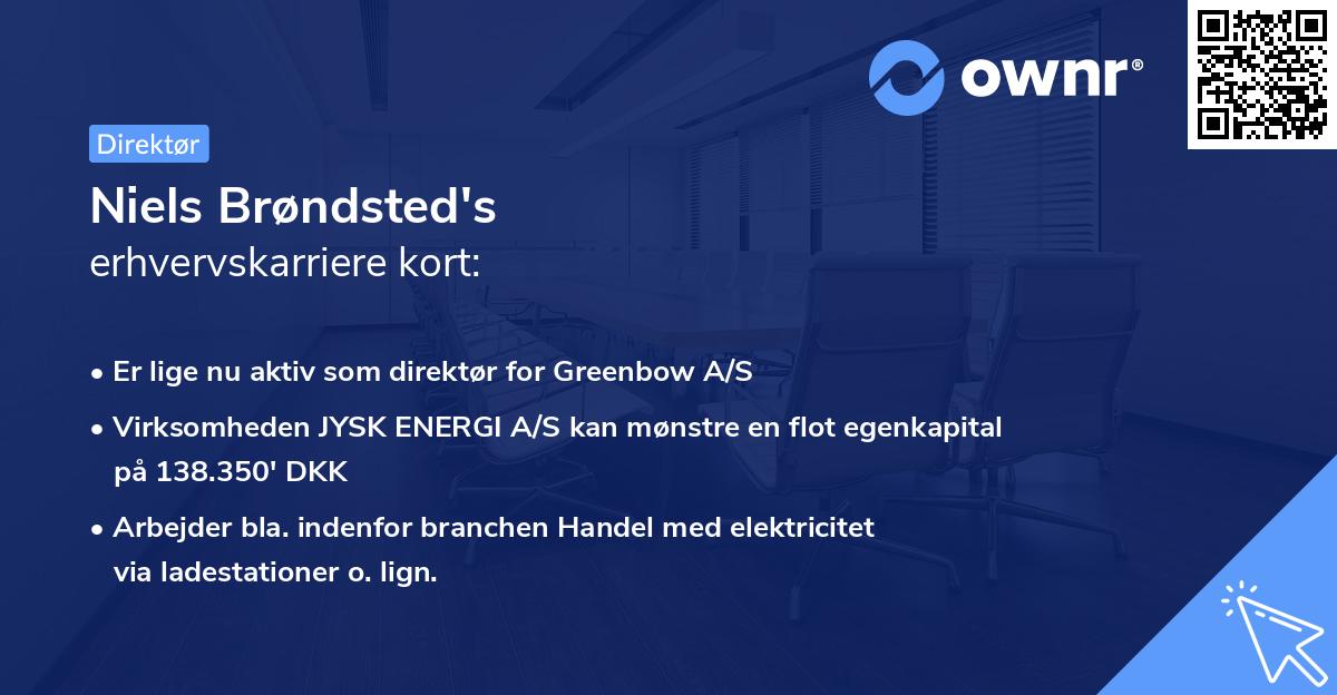 Niels Brøndsted's erhvervskarriere kort