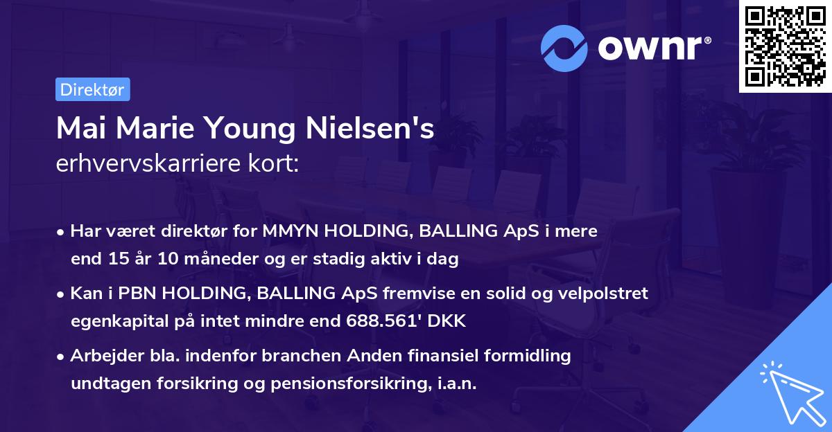 Mai Marie Young Nielsen's erhvervskarriere kort