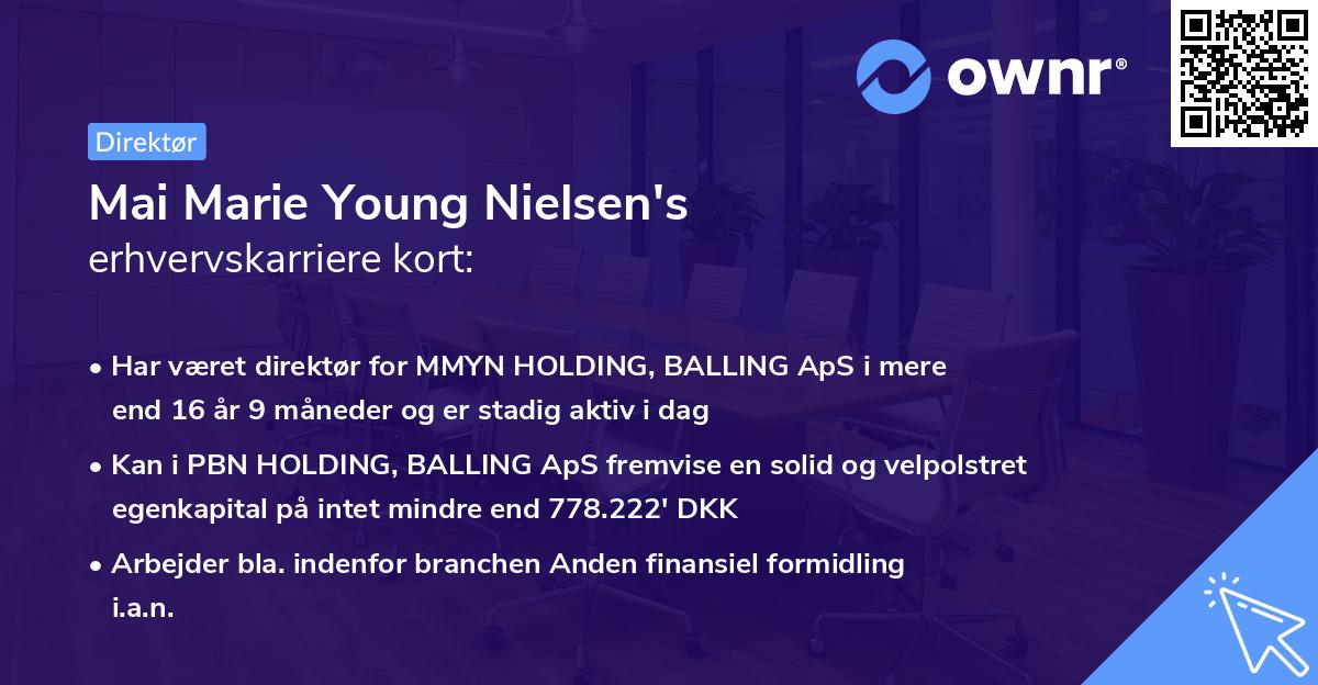 Mai Marie Young Nielsen's erhvervskarriere kort
