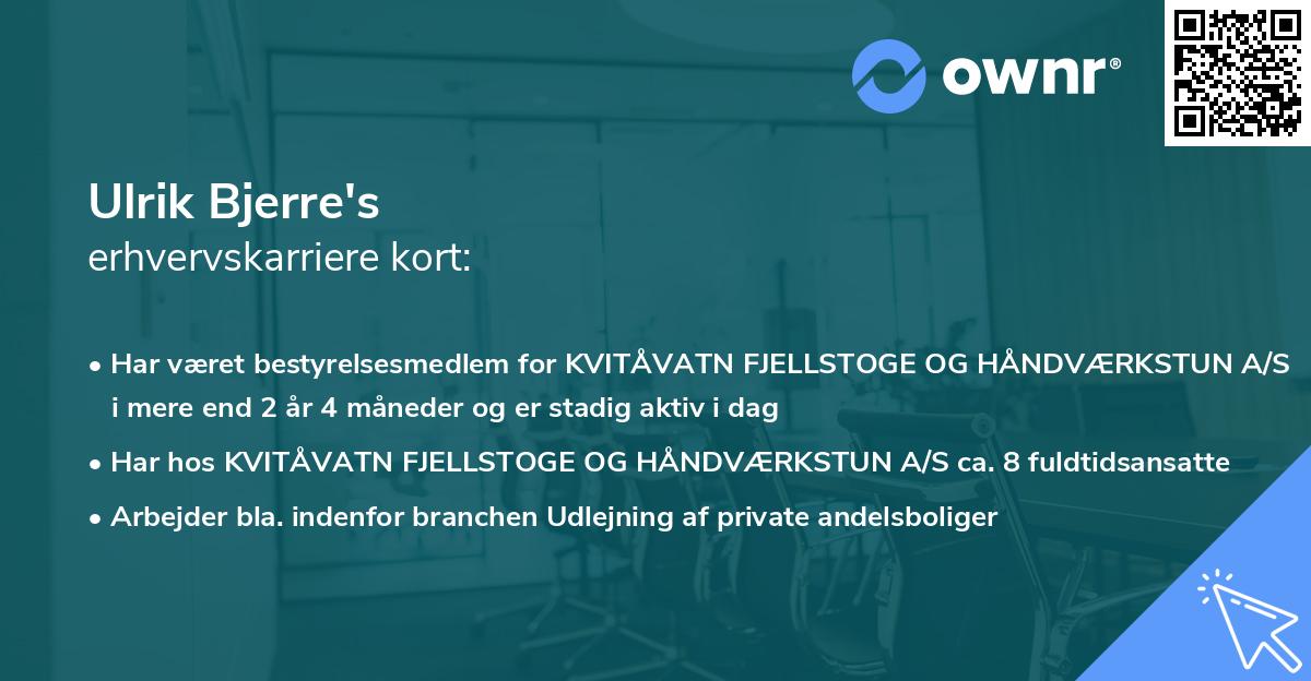 Ulrik Bjerre's erhvervskarriere kort