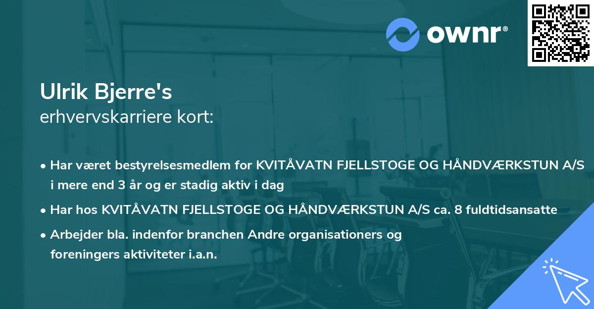 Ulrik Bjerre's erhvervskarriere kort