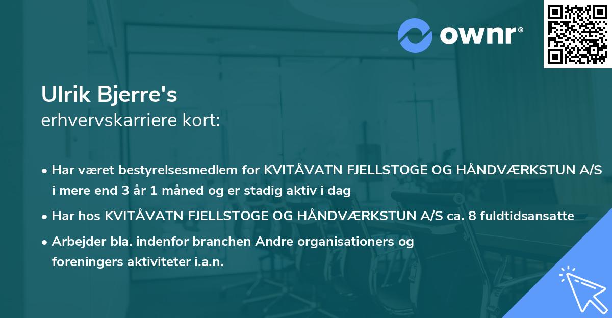 Ulrik Bjerre's erhvervskarriere kort