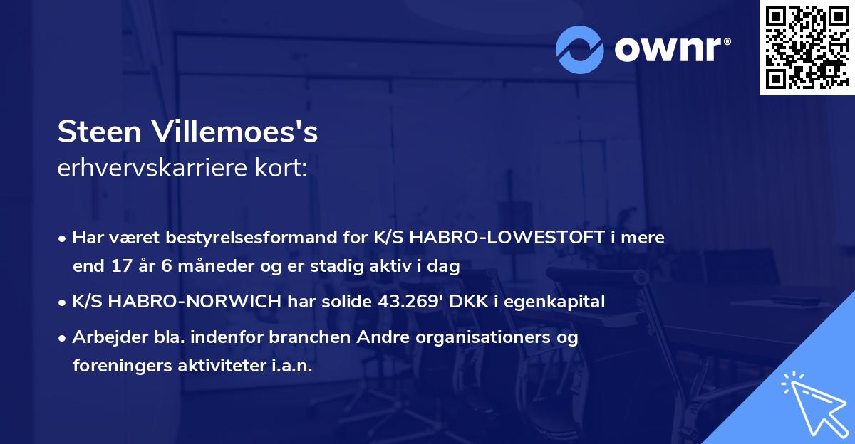 Steen Villemoes's erhvervskarriere kort