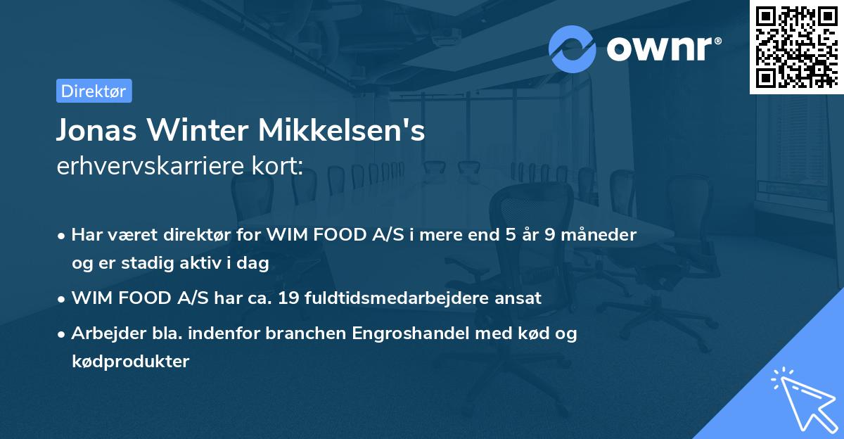 Jonas Winter Mikkelsen's erhvervskarriere kort