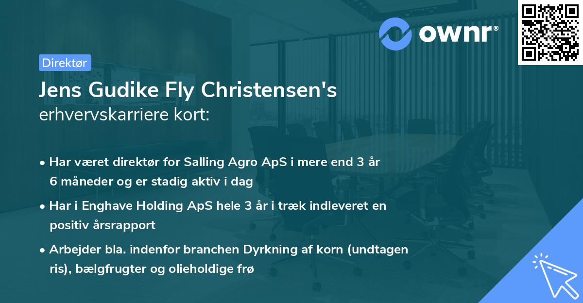 Jens Gudike Fly Christensen's erhvervskarriere kort