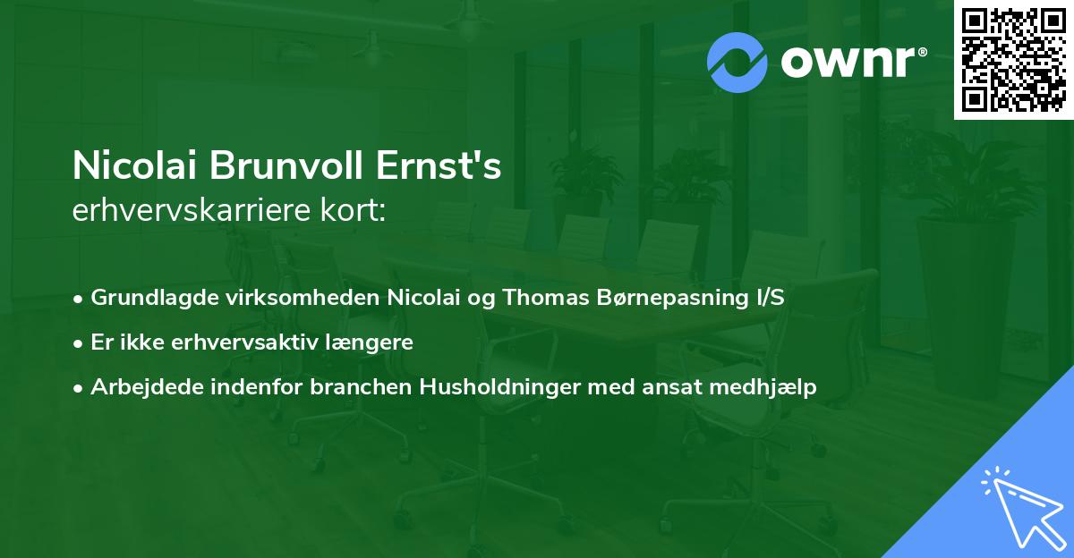 Nicolai Brunvoll Ernst's erhvervskarriere kort