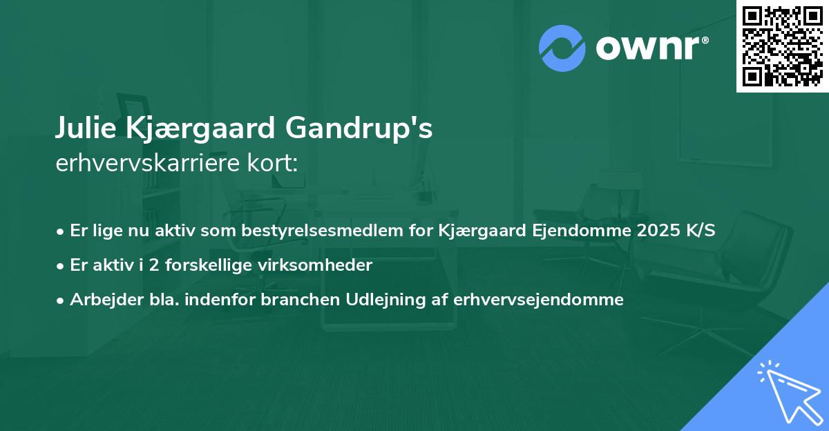 Julie Kjærgaard Gandrup's erhvervskarriere kort