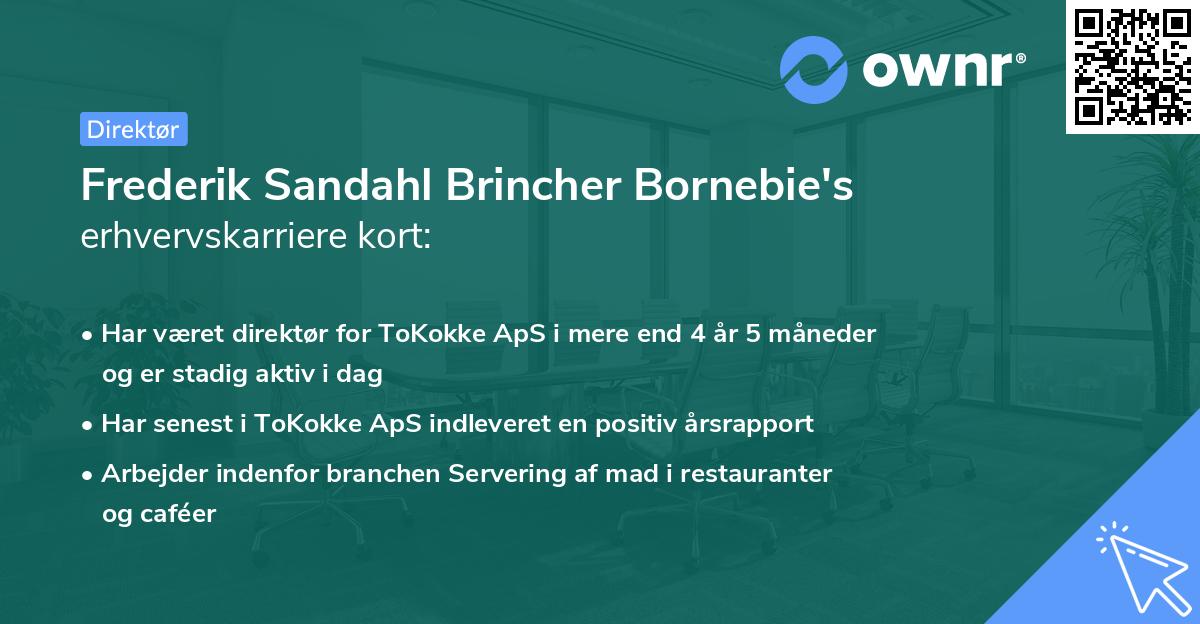 Frederik Sandahl Brincher Bornebie's erhvervskarriere kort