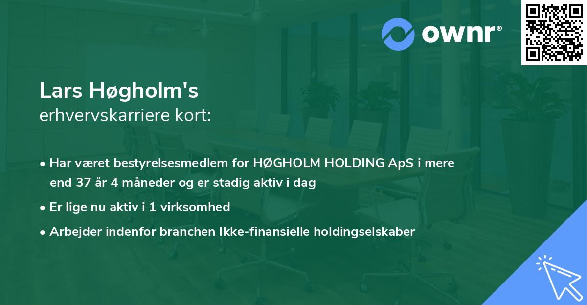 Lars Høgholm's erhvervskarriere kort