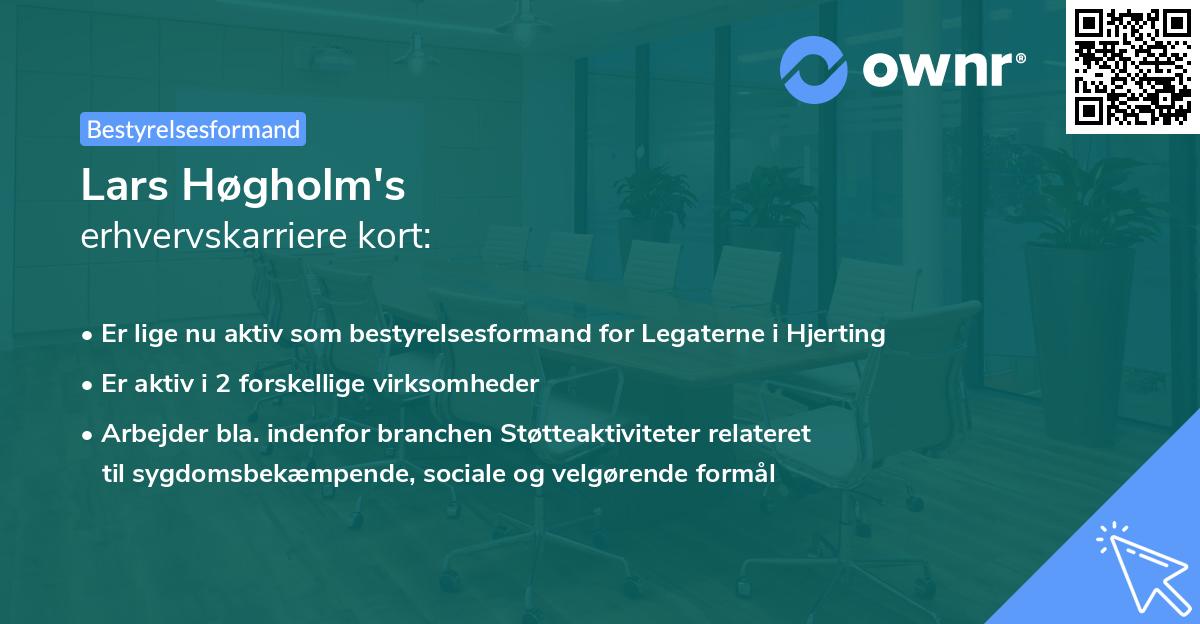 Lars Høgholm's erhvervskarriere kort