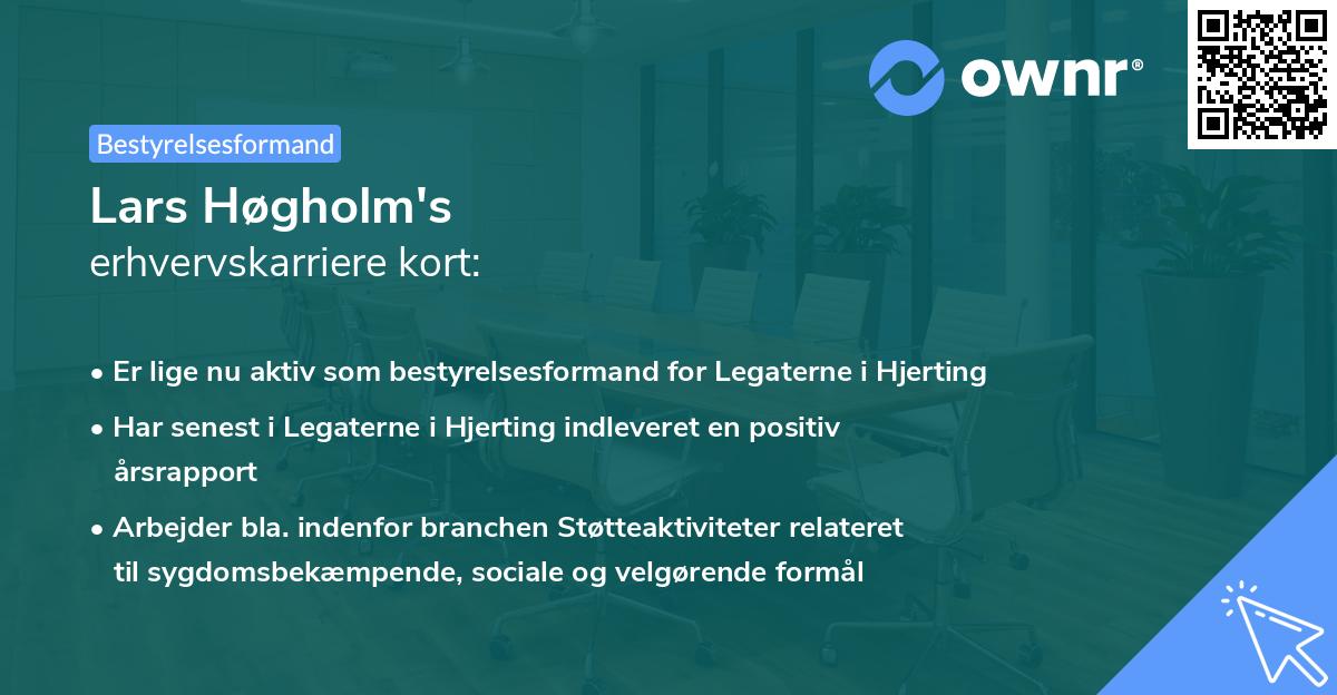 Lars Høgholm's erhvervskarriere kort