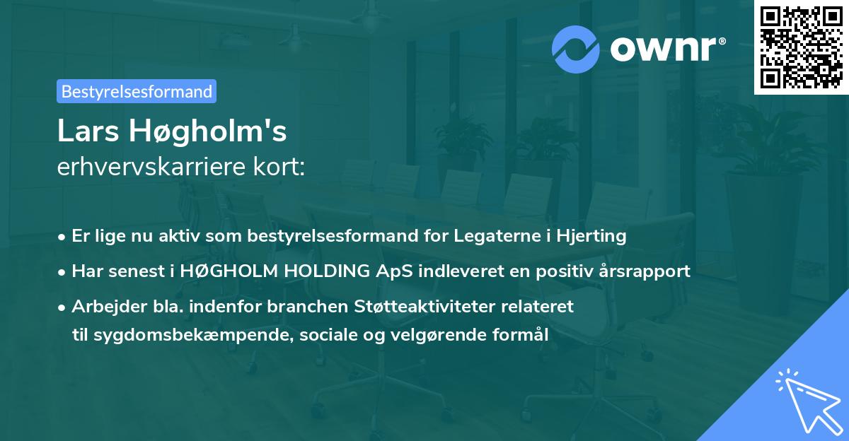 Lars Høgholm's erhvervskarriere kort