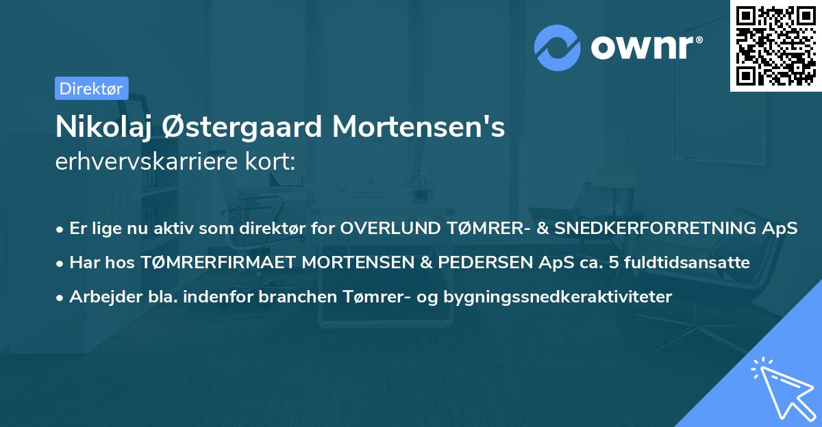 Nikolaj Østergaard Mortensen's erhvervskarriere kort