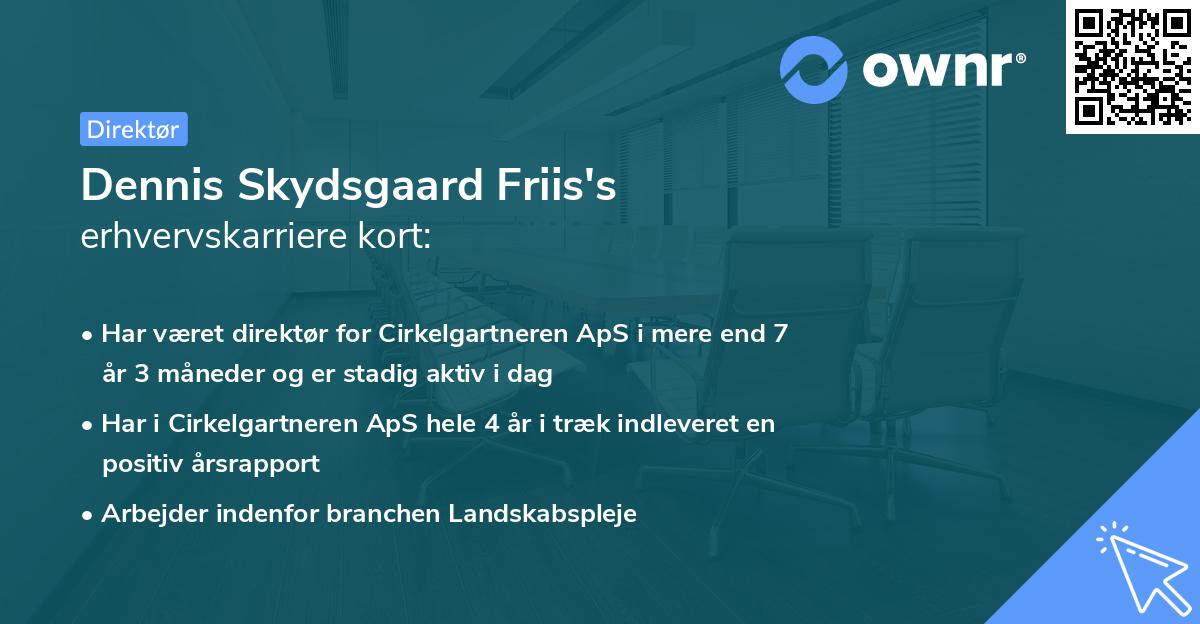 Dennis Skydsgaard Friis's erhvervskarriere kort