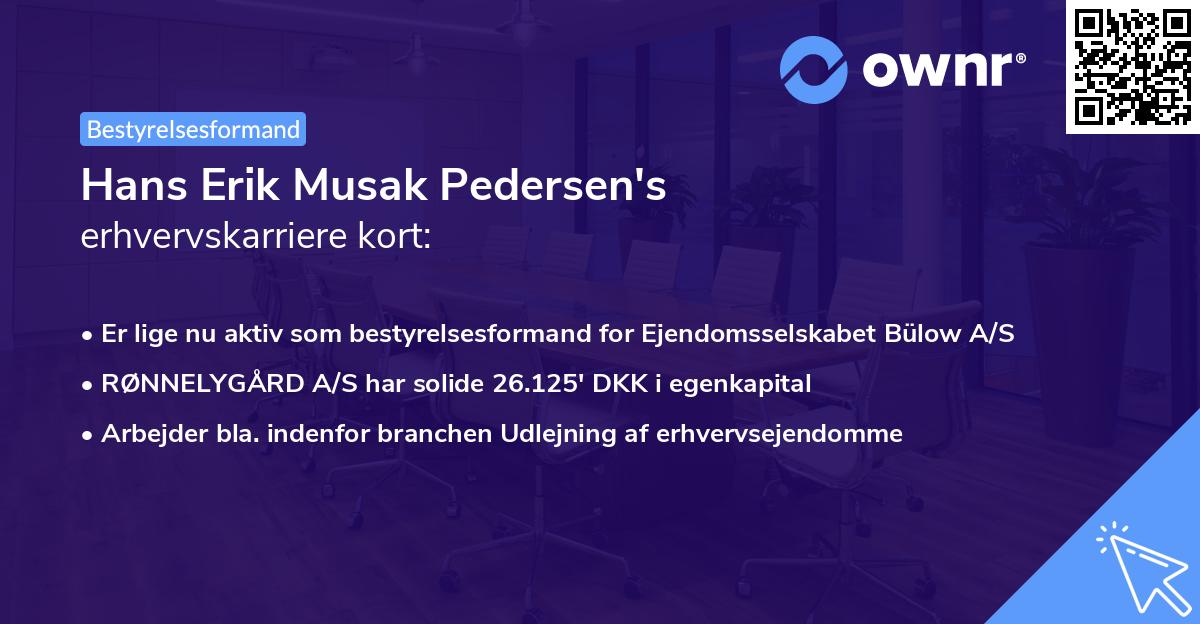 Hans Erik Musak Pedersen's erhvervskarriere kort