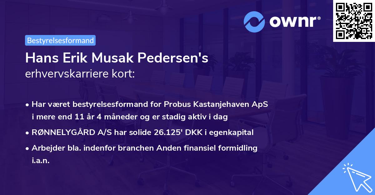 Hans Erik Musak Pedersen's erhvervskarriere kort