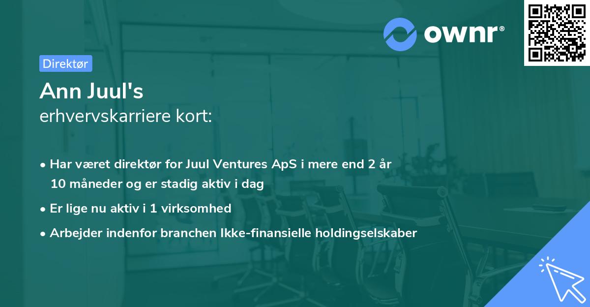 Ann Juul's erhvervskarriere kort