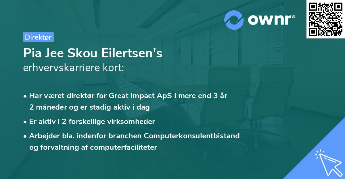 Pia Jee Skou Eilertsen's erhvervskarriere kort
