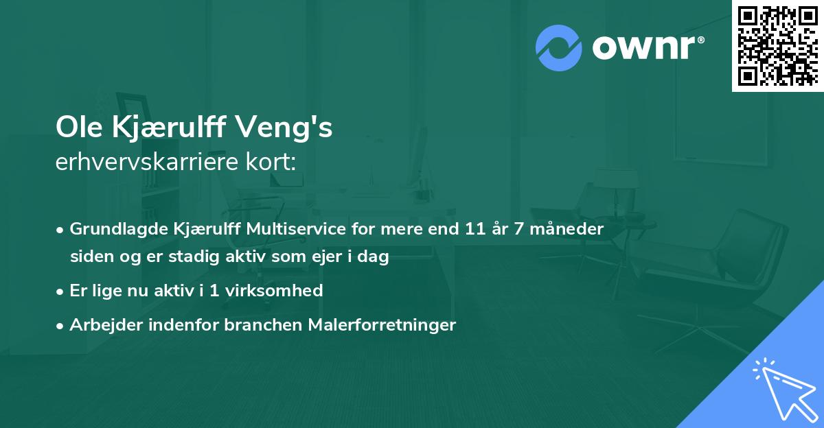 Ole Kjærulff Veng's erhvervskarriere kort