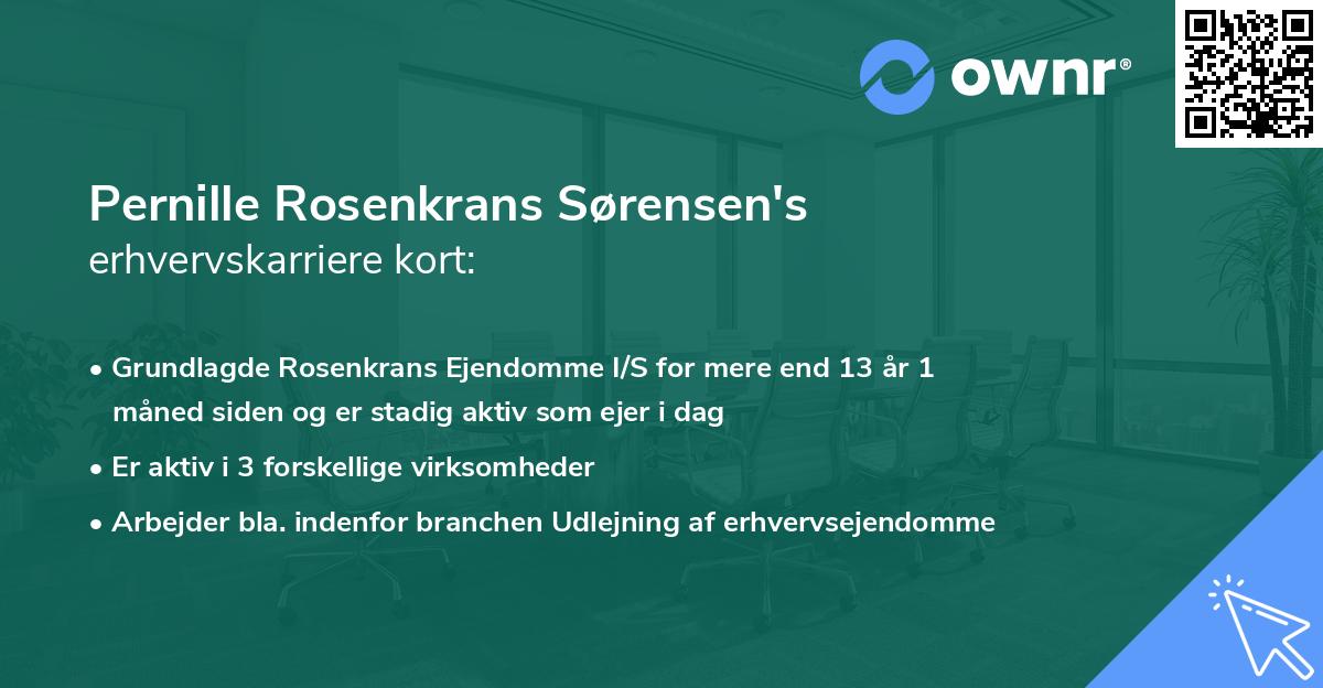 Pernille Rosenkrans Sørensen's erhvervskarriere kort