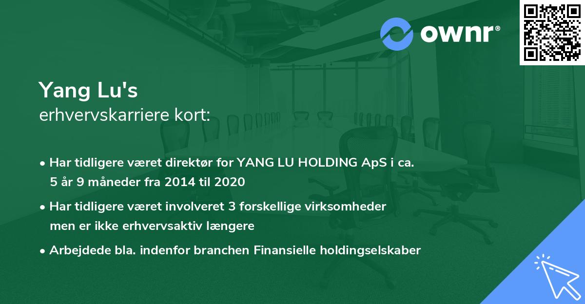 Yang Lu's erhvervskarriere kort