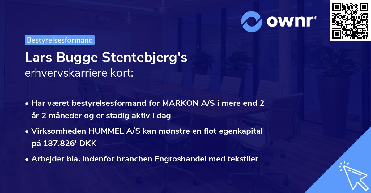 Lars Bugge Stentebjerg's erhvervskarriere kort