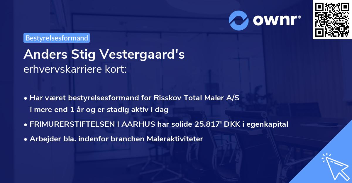 Anders Stig Vestergaard's erhvervskarriere kort