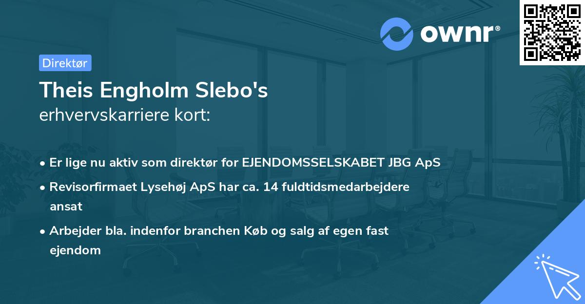 Theis Engholm Slebo's erhvervskarriere kort