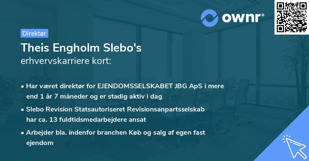 Theis Engholm Slebo's erhvervskarriere kort