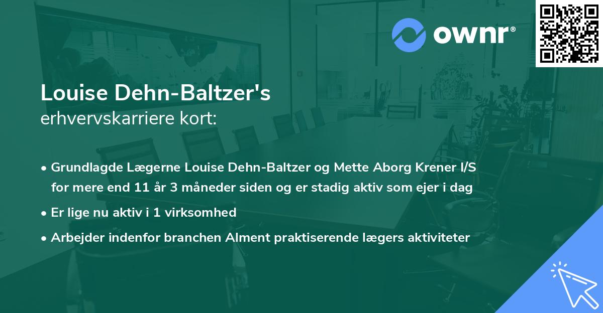 Louise Dehn-Baltzer's erhvervskarriere kort