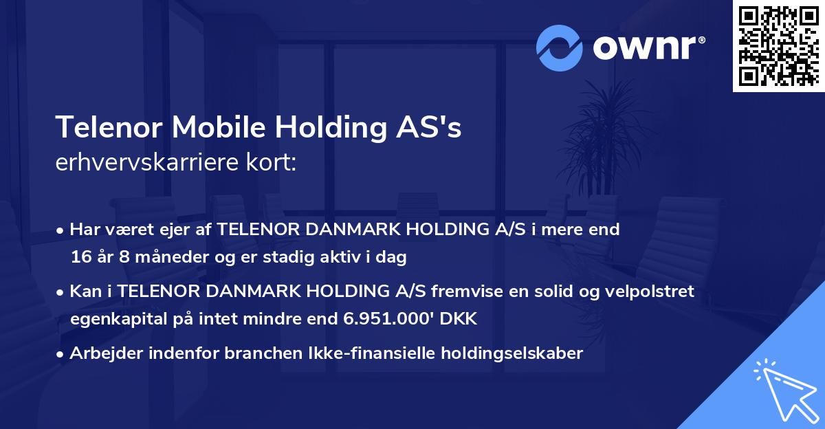 Telenor Mobile Holding AS's erhvervskarriere kort
