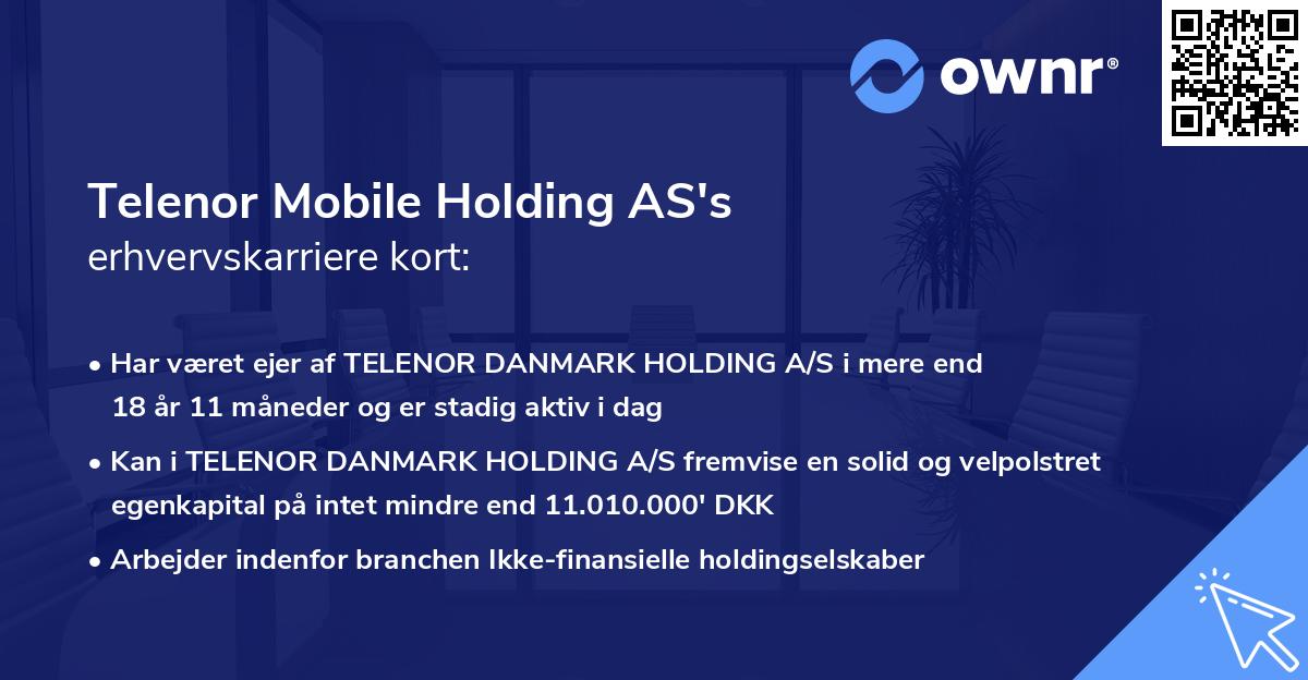 Telenor Mobile Holding AS's erhvervskarriere kort