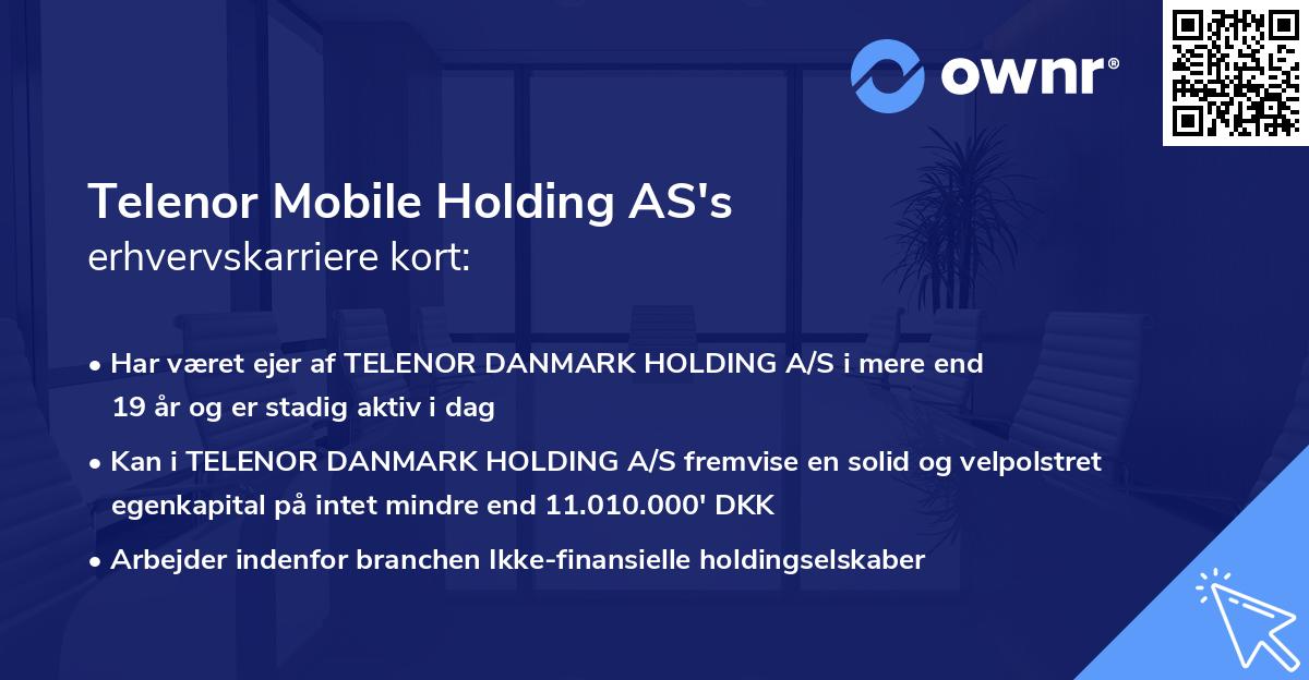 Telenor Mobile Holding AS's erhvervskarriere kort