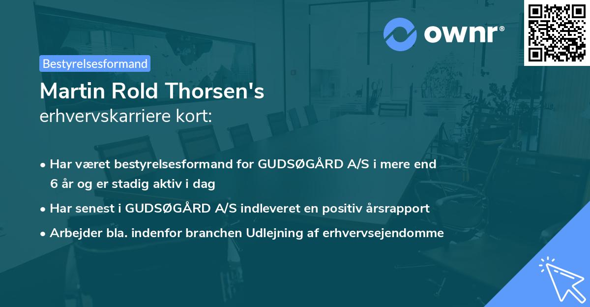 Martin Rold Thorsen's erhvervskarriere kort