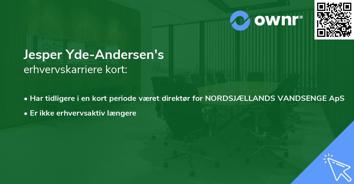 Jesper Yde-Andersen's erhvervskarriere kort