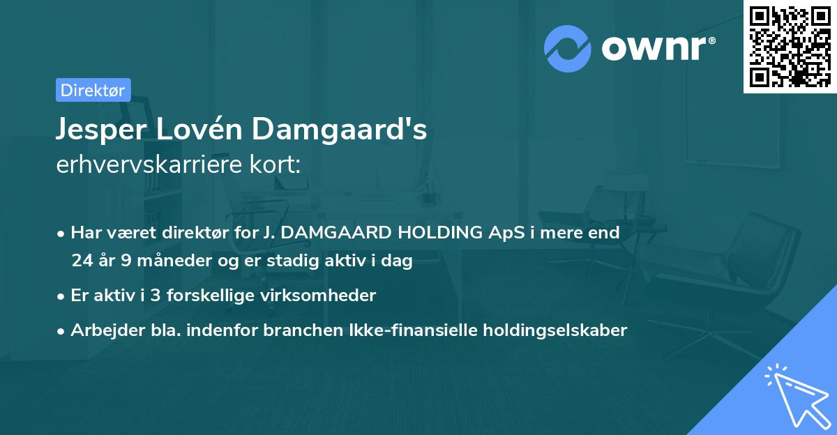 Jesper Lovén Damgaard's erhvervskarriere kort