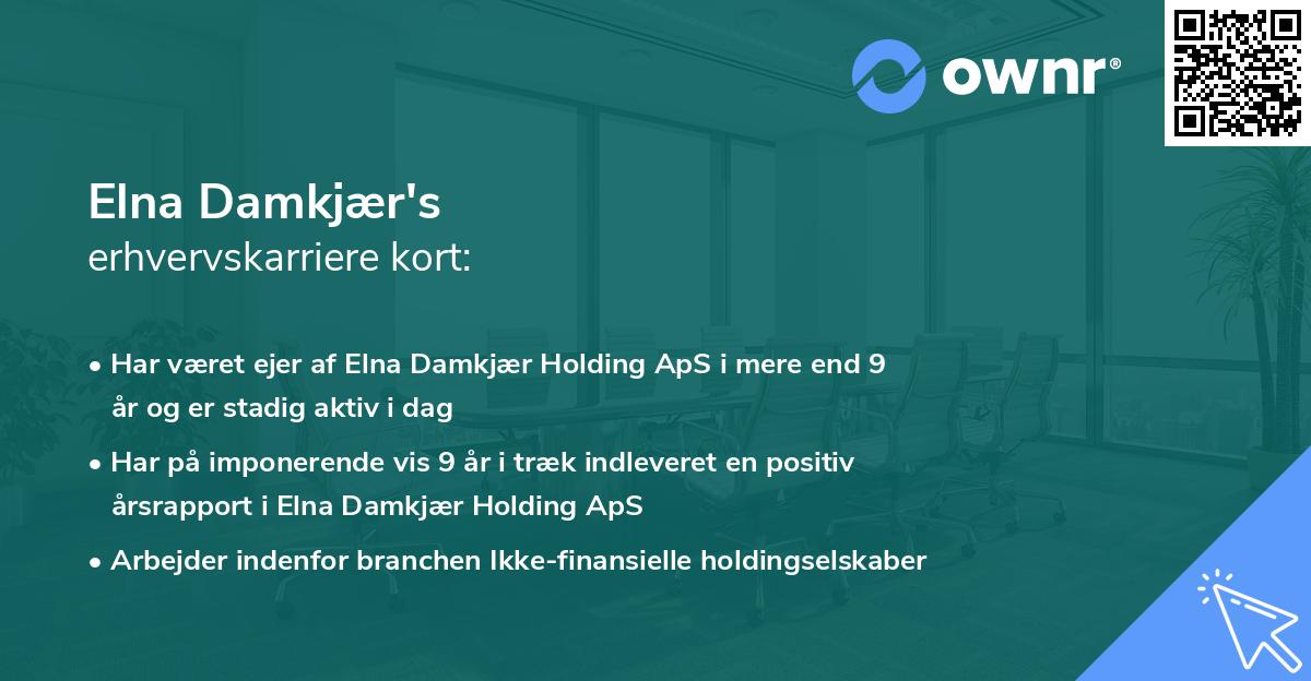 Elna Damkjær's erhvervskarriere kort