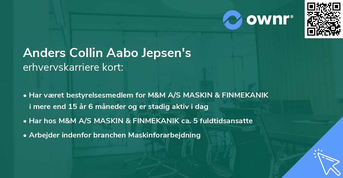 Anders Collin Aabo Jepsen's erhvervskarriere kort