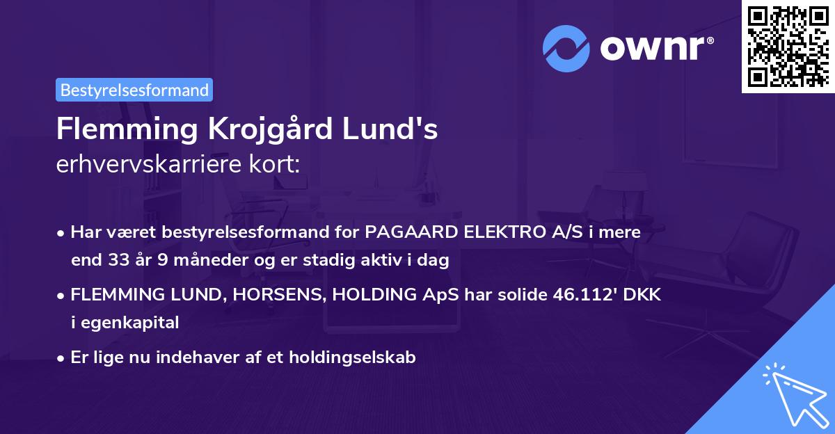 Flemming Krojgård Lund's erhvervskarriere kort