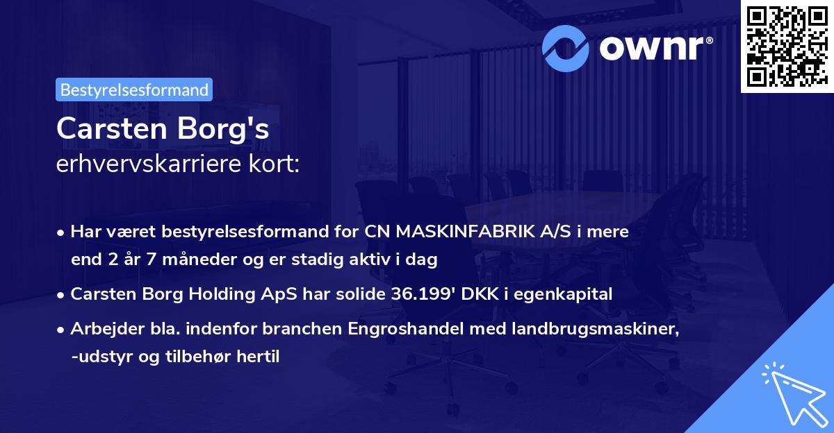 Carsten Borg's erhvervskarriere kort