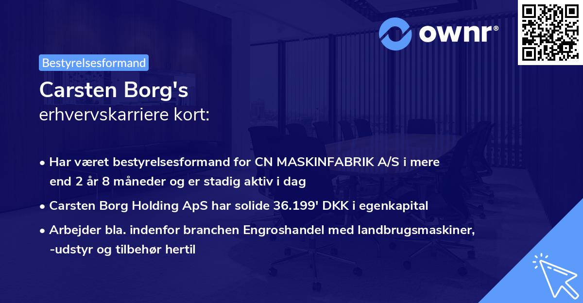 Carsten Borg's erhvervskarriere kort