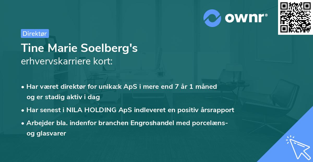 Tine Marie Soelberg's erhvervskarriere kort
