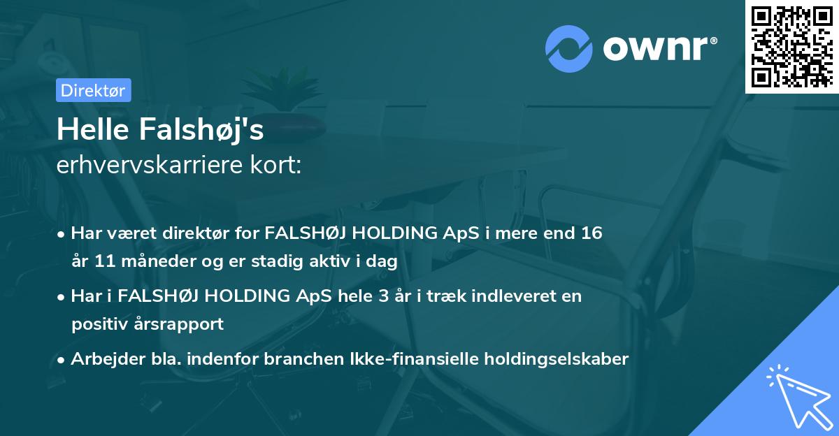 Helle Falshøj's erhvervskarriere kort