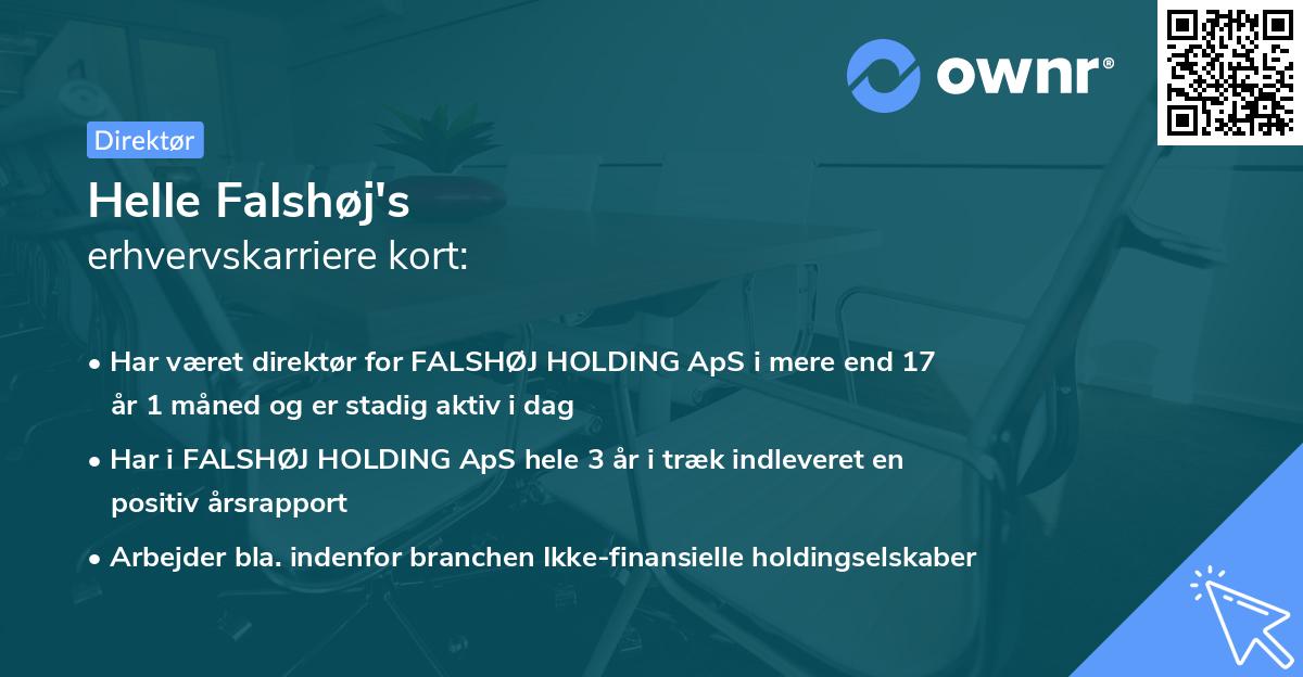 Helle Falshøj's erhvervskarriere kort
