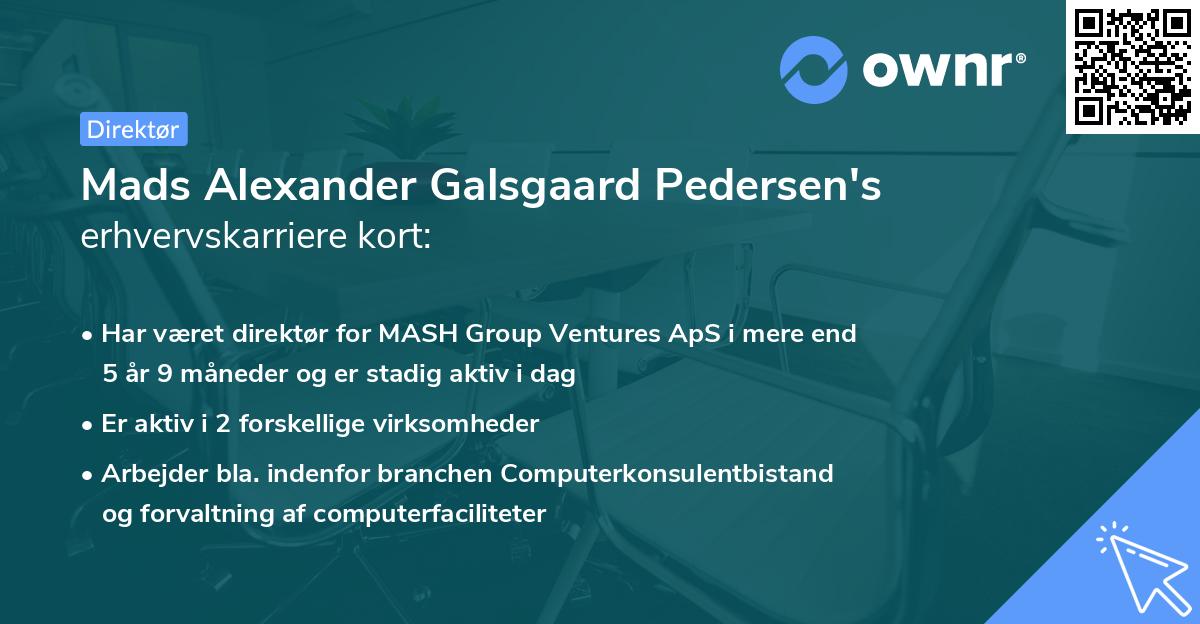 Mads Alexander Galsgaard Pedersen's erhvervskarriere kort