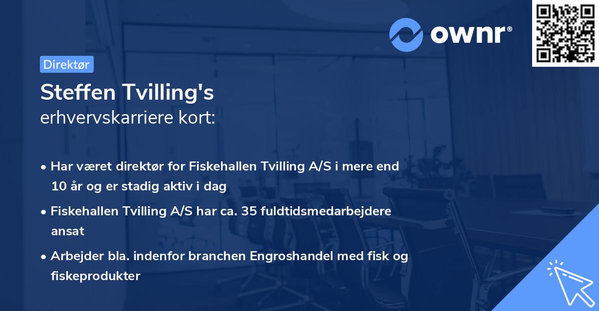 Steffen Tvilling's erhvervskarriere kort