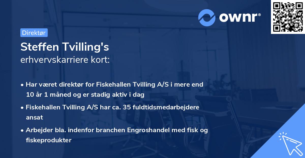 Steffen Tvilling's erhvervskarriere kort