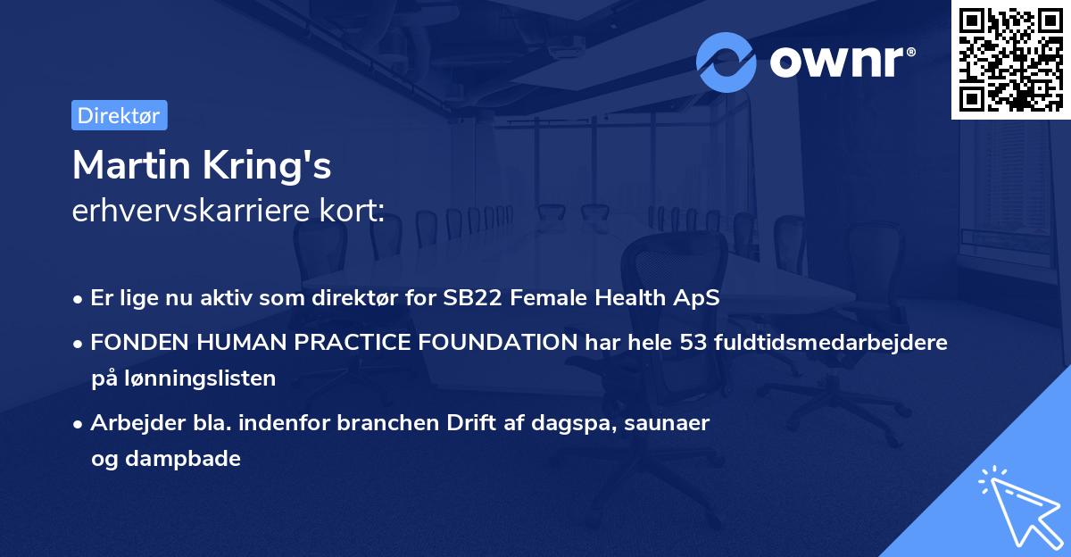 Martin Kring's erhvervskarriere kort